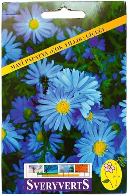 Mavi Papatya Çiçeği Tohumu