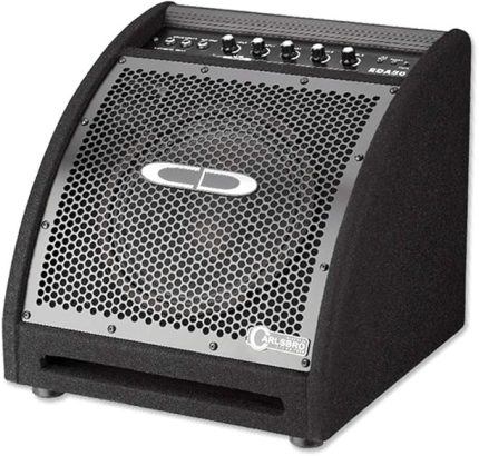 EDA50 10" Davul Monitör Amfi (50W)