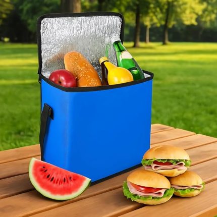 25 Litre Termal Soğutucu Piknik Çantası – Kamp, Plaj, Oto Buzluk ve Seyahat için Serin Tutucu Termos Çanta, Hafif & Taşınabilir (Mavi)