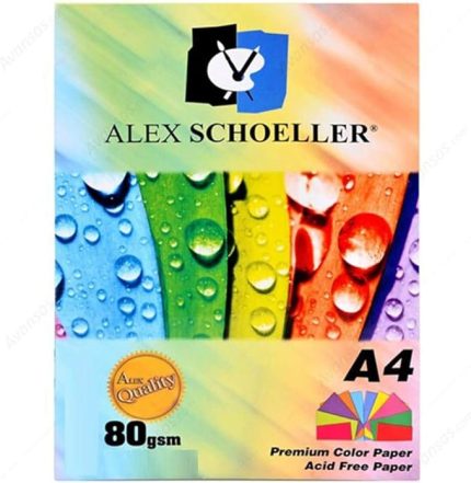 SCHOELLER A.FTK.KGT.450.02 FOTOKOPİ KAĞIDI -RENKLİ KARIŞIK - A4 - 621