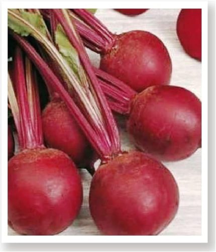 TARIM Yerli Doğal Kırmızı Pancar Tohumu 100 Adet Tohum