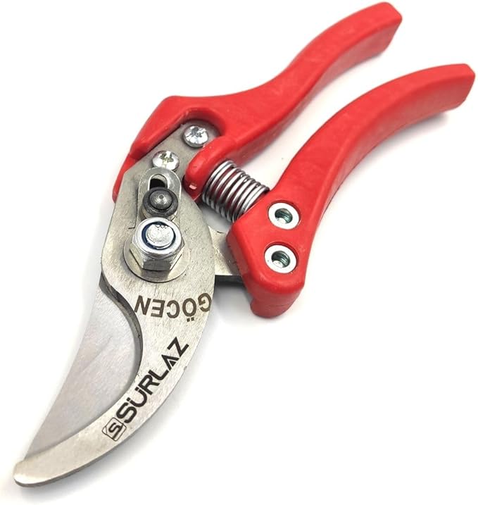 618l0rmvqgL._AC_SX679_