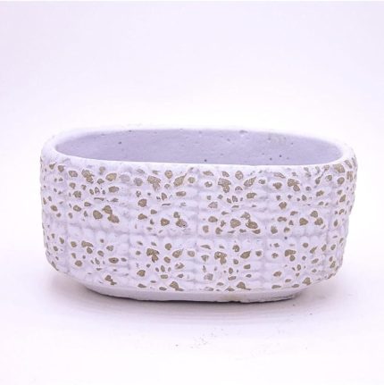 Botanik Gül Desenli Oval Aranjman Beton Kaktüs Çiçek Saksısı Beyaz Renk 16 X 8 X 8 Cm