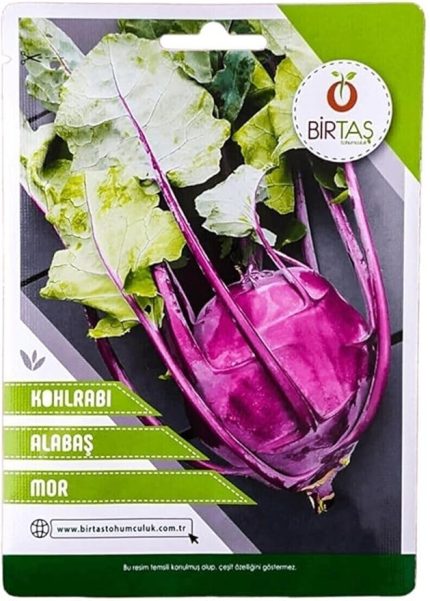 Alabaş Mor Turp Tohumu