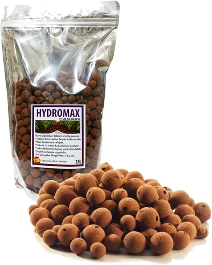 61AUsckBBjL._AC_SY879_