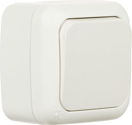 Palmiye Beyaz Anahtar Çabuk Bağlantı