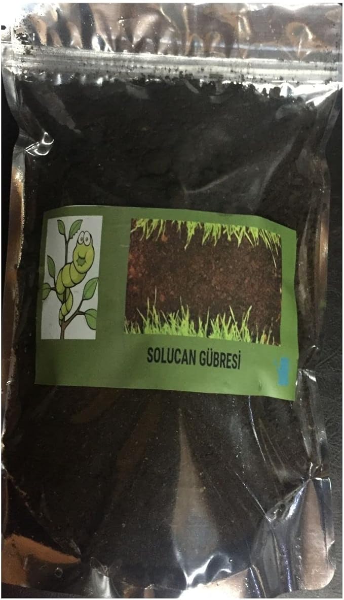 61HhPTkvZGL._AC_SX679_