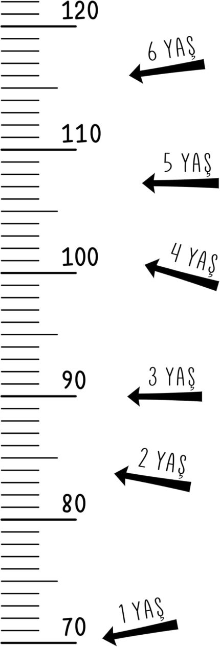 Ölçer Duvar Cetveli - Kendinden Yapışkanlı Şeffaf Etiket - Mezura Sticker - Çocuk ve Yetişkinler için, Minimalist Dekoratif Dayanıklı, Ev ve Kreş Kullanımına Uygun - Yaş Etiketi ve İsimlik dahil