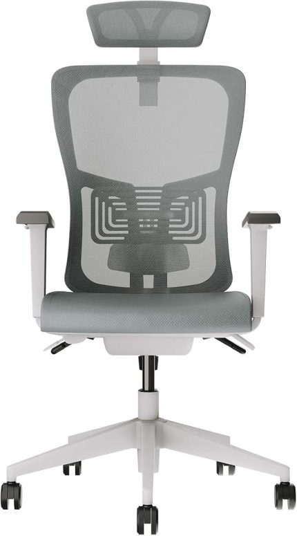 Lumbar Plus Fileli Yönetici Koltuğu