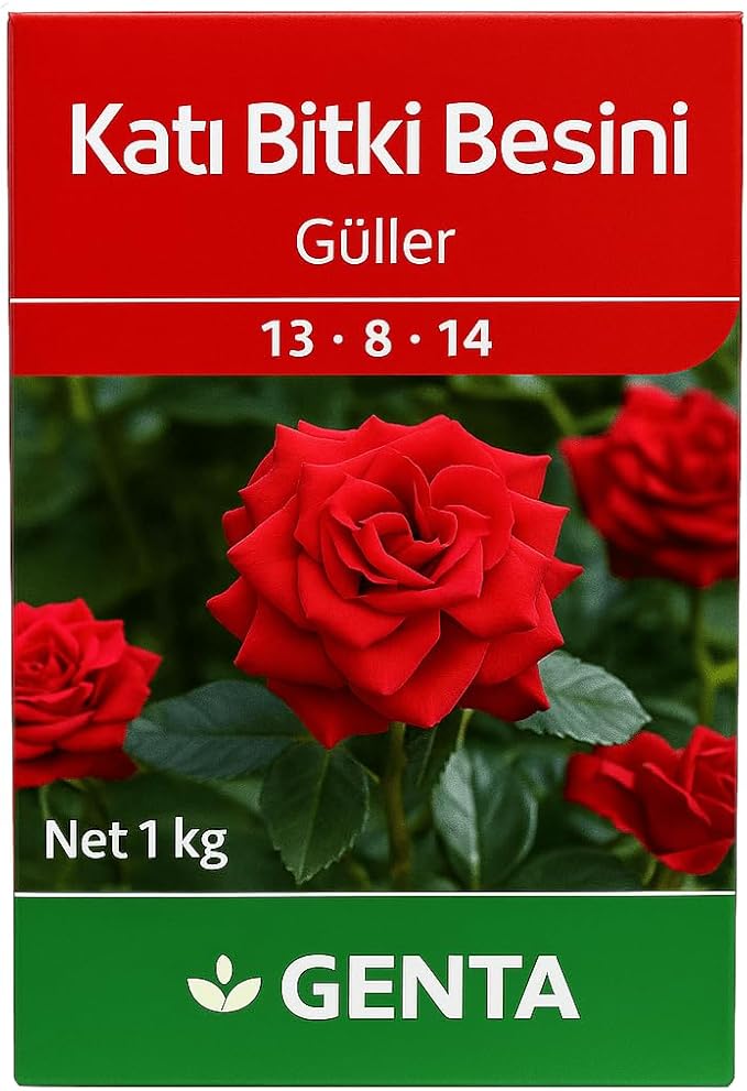 61IvRhKNeWL._AC_SX679_