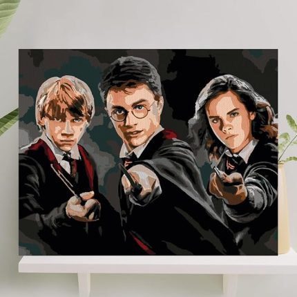 Hobi Sanat Sayılarla Boyama Tuval Seti Fırça Boya Dahil (Çıtalı) 40x50 CM - Harry Potter