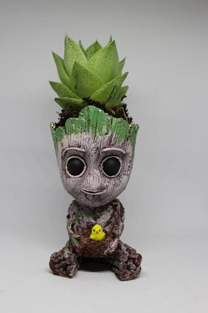 3D Dekoratif Saksı+ Canlı Sukulent Bitkili civciv figürlü