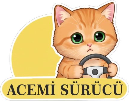 Tasarla Acemi Sürücü Sevimli Kedi Araba Etiketi & Sticker Çok Renkli