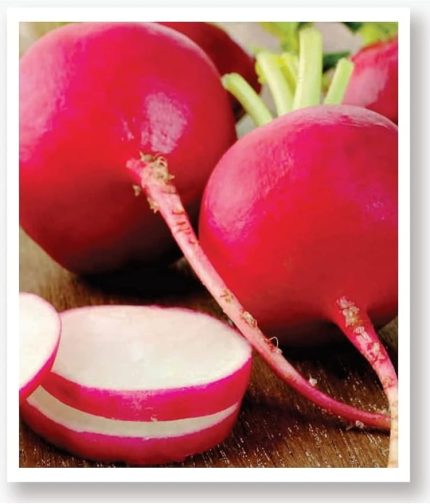 TARIM Ata Tohumu Yöresel Kırmızı Antep Turp 500 Adet Tohum