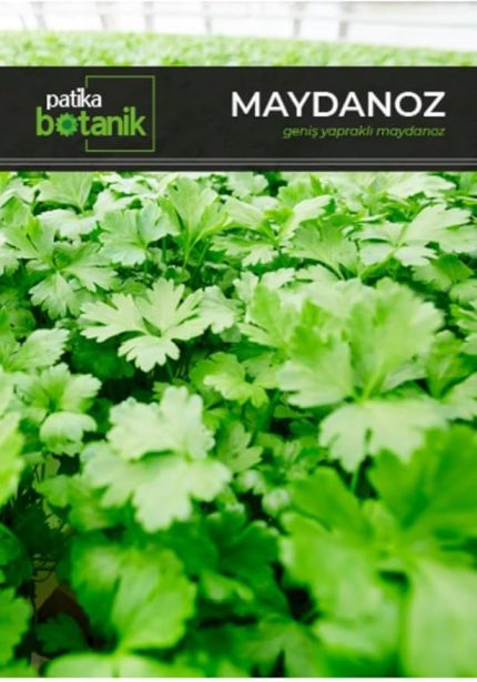 Botanik 4000 Adet Yerli Ata Geniş Yapraklı Maydonoz Tohumu