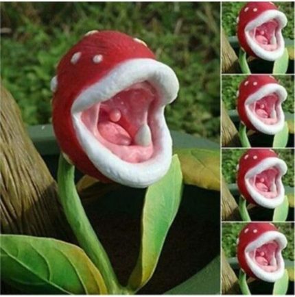 Dünyam Etçil Etobur Sinek Kapan Bitkisi Tohumu 5 Adet Tohum