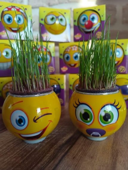 ÇİMOJİ 40'LI TEK TEK KUTULU EĞİTİCİ HEDİYELİK OYUNCAK çimadam çimoji