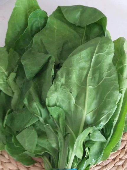 Garden Yerli Sarmalık Yaprak Pancar Pazı Tohumu 100 Ad. Tohum