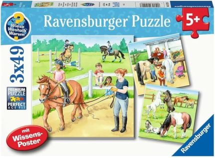 05129 3x49p Puz Ahırda Bir Gün, Çok Renkli