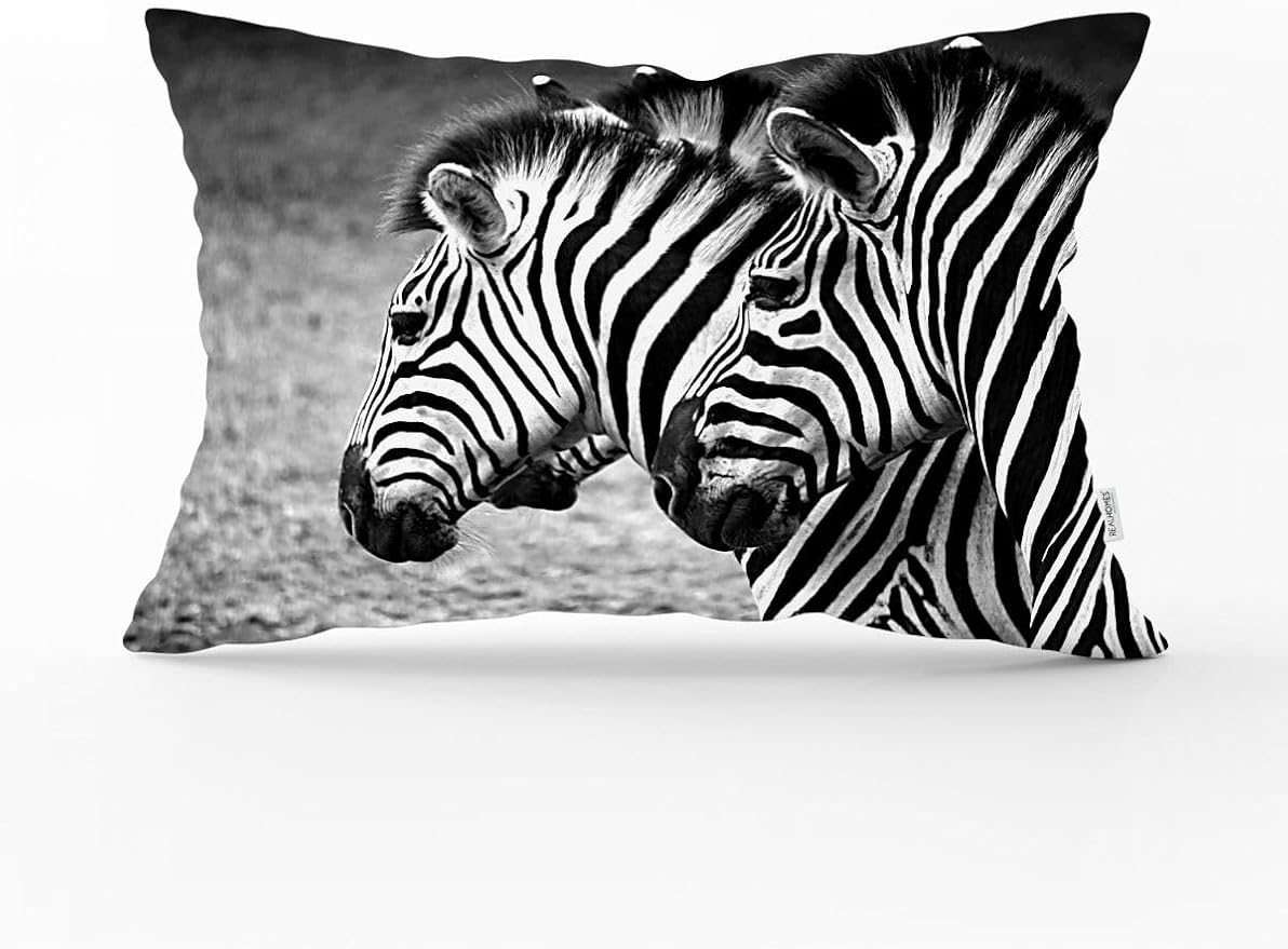 61VZSTMPO4L._AC_SY879_