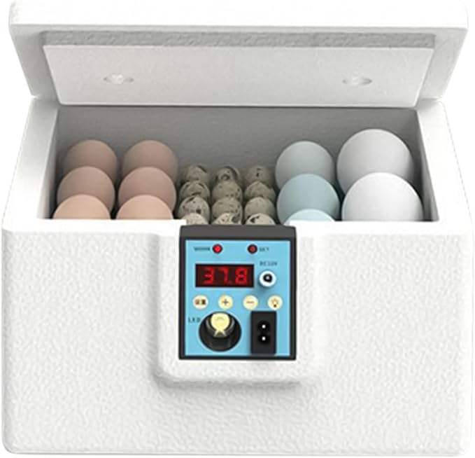 61YH4kh4b-L._AC_SX679_