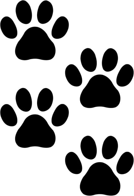 Aksesuar 4 Adet Pati Sticker Araba Oto Cam Sticker 7 x 7 cm Siyah