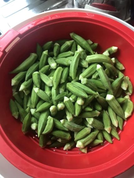 Garden Doğal Japon Bamyası Tohumu 100 Ad. Tohum