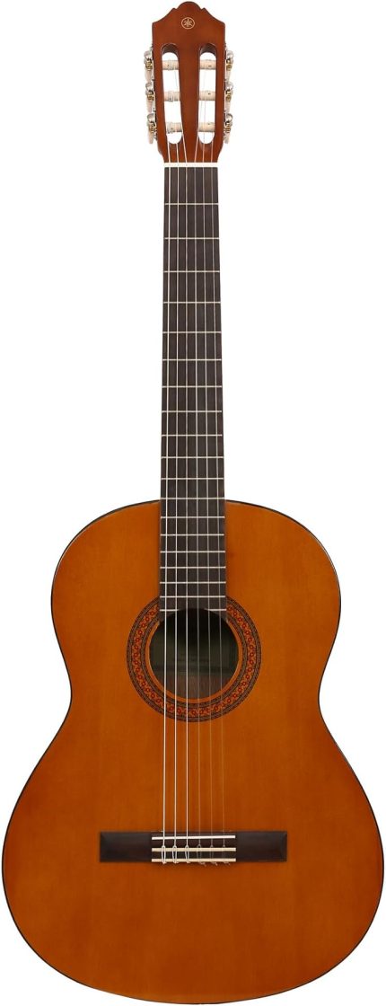 C40 Klasik Gitar