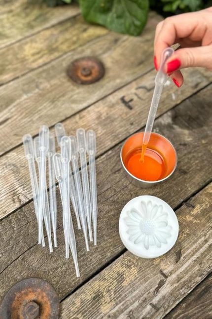 Concept Pastör Pipet (Damlalık) 3 ml (50 Adet)