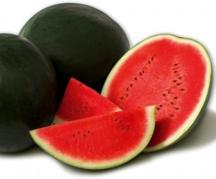TARIM DOĞAL KARA KARPUZ WASHINGTON 50 ADET TOHUM