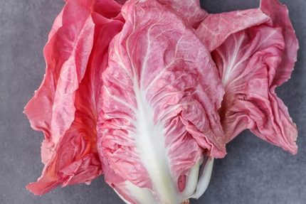 Adet İthal Pembe Marul Tohumu