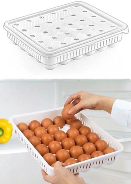 30'lu Kapaklı Yumurta Saklama Kabı, Akrilik Plastik 30'lu Yumurta Saklama Kabı, 30'lu Yumurtalık
