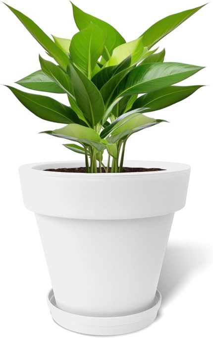 Fulya Saksı Drenajlı Dekoratif Mat Plastik Çiçek Saksısı (Beyaz Tabaklı, 50 Litre)