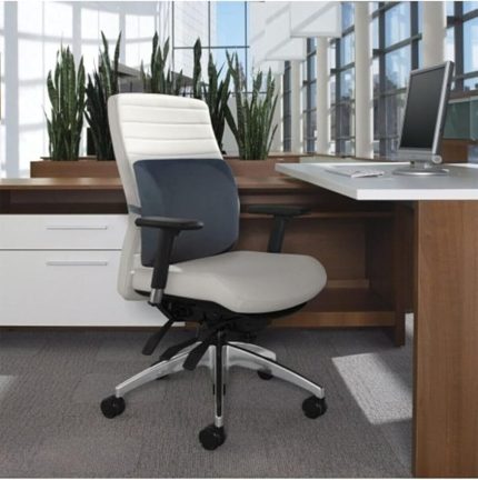 Ortopedik Ofis Koltuk Sandalye Bel Destek Yastık Minderi Sırt Dayama Yastığı