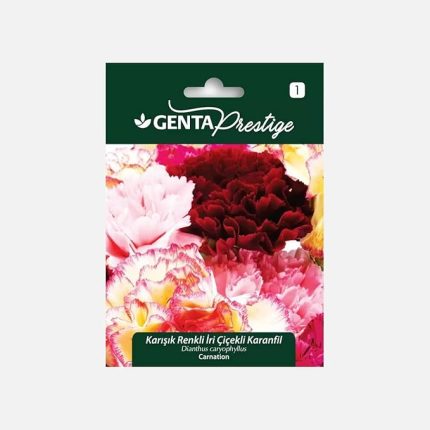 Prestige Karışık Renkli İri Çiçekli Karanfil Çiçek Tohumu