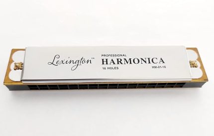 LMHM0116 Mızıka 16 Delik Profesyonel Harmonica Kutulu