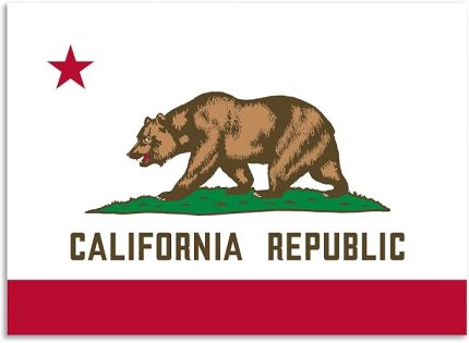 Max Decals California Bayrağı Çıkartma Defter Araba Dizüstü Bilgisayar 14 cm x 10 cm (Renkli)