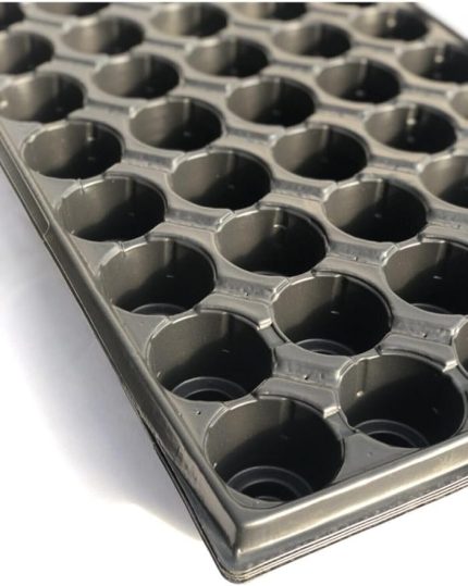 Botanik 5 Adet 45 Gözlü Viyol Fide Yetiştirme Viyolü Fide Viyolleri Tohum Ekim Viyolü Kabı