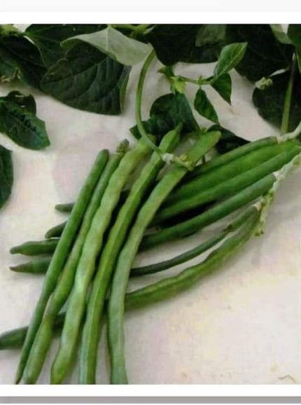 TARIM ATA TOHUMU YERLİ BÖRÜLCE KARAGÖZ 50 ADET TOHUM