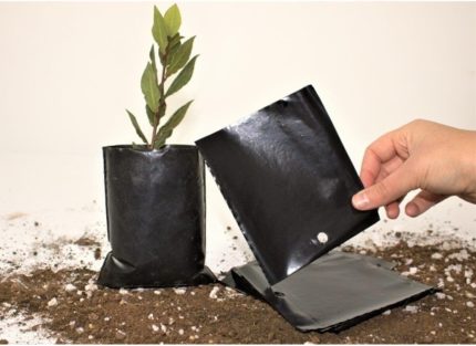 Fide Poşeti 11X13 Cm 20 Adet Fide Torbası Fidan Poşeti Fidan Torbası