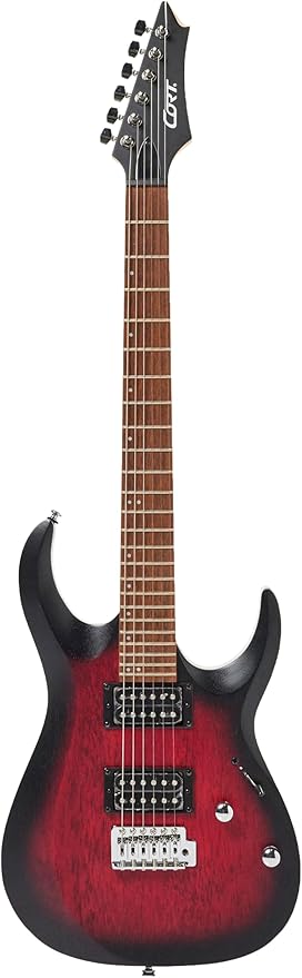 Elektro Gitar X100 OPBB