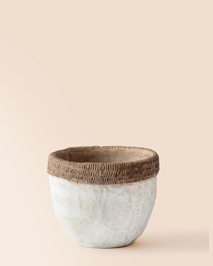 COCO Valerie Saksı - M