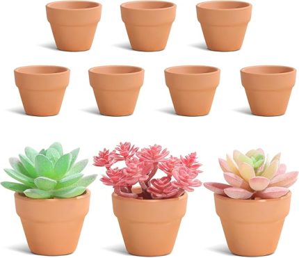 Küçük terakota saksılar – 10 adet, mini kil saksılar, sukulent için, iç ve dış mekan için yetiştirme saksıları