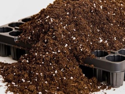 Botanik 20 Litre İthal Kına Torf-Perlit Katkılı