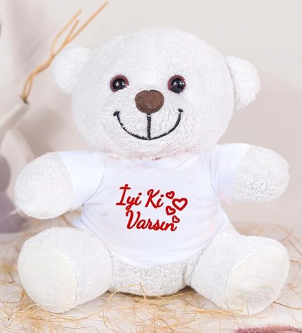 Oyuncak 20-25 cm Tişörtlü Pelüş Ayıcık, 20 cm Teddy Bear, Yumuşak Ayıcık, Sevgiliye Hediye,Ayı Teddy,Peluş Ayıcık,Plush Toys,Oturan ayı,Ofis Hediyesi,Renkli Ayıcık,İyi ki Varsın,Tişörtlü,Ayıcık (Beyaz Ayıcık)
