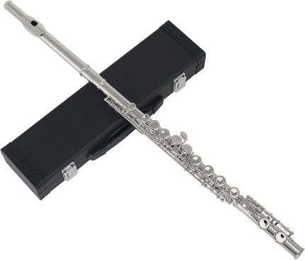 Enine flüt, bakır tokmak, kaplama, gümüş, 16 delikli, C ton türü ahşap üfleme aleti, mantar yağlı, temizlik bezi, baton, eldiven mini tornavida, dolgulu kutu