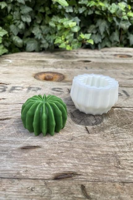 Concept Ball Kaktüs Mum Kalıbı (Silikon)
