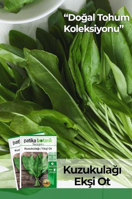 Botanik 1000 Adet Kuzu Kulağı/Ekşiotu Tohumu