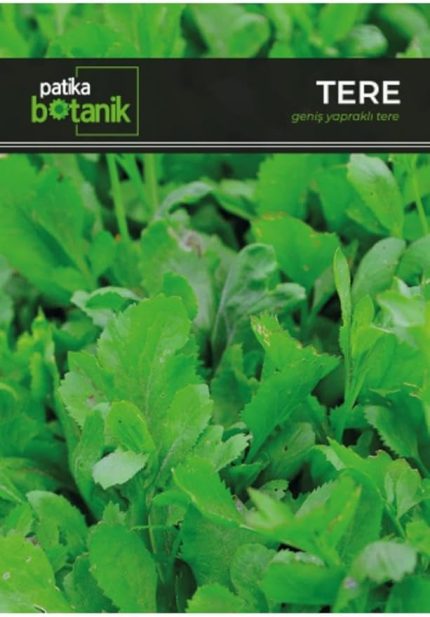 Botanik 4.000 Adet Yerli Ata Tere Tohumu