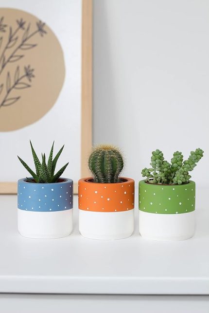 Beton Saksı Üçlü Set Küçük Boy Sukulent Saksısı (Turuncu)